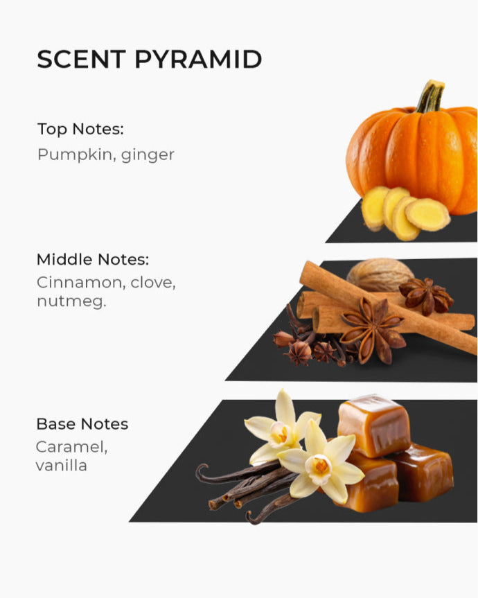 Scent pyramid for soy wax candle, includes pumpkin, ginger, cinnamon, clove caramel, vanilla