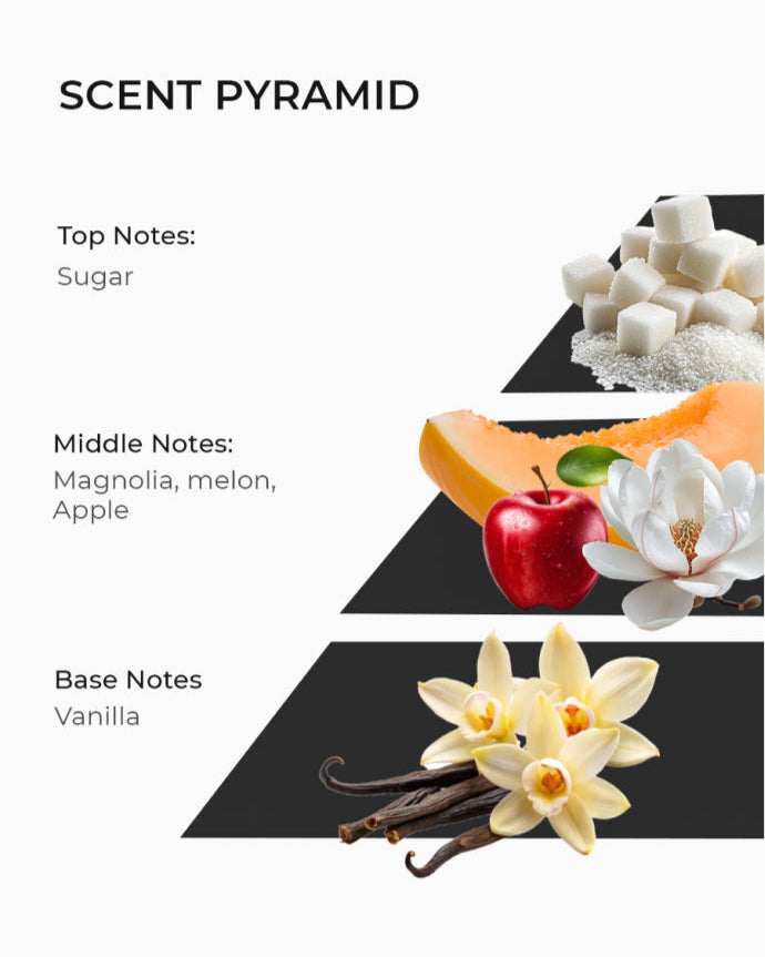 Scent pyramid for soy wax candle, includes sugar, magnolia, melon, vanilla