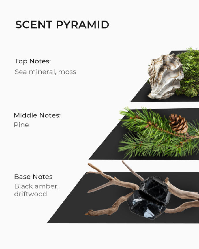 Scent pyramid for soy wax candle, includes sea minerals, moss, pine, amber, driftwood