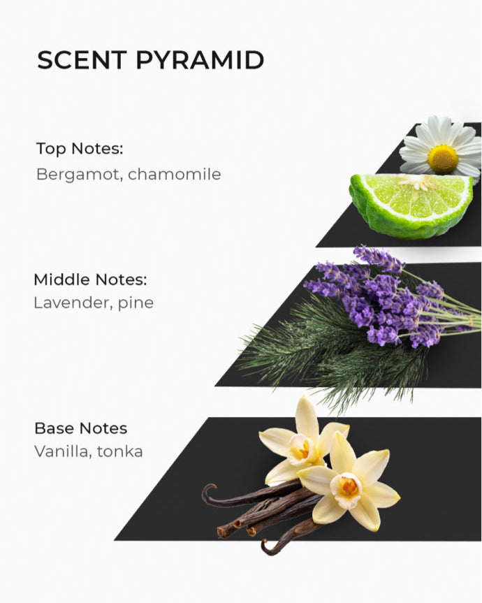 Scent pyramid for soy wax candle, includes bergamot, chamomile, lavender, pine, vanilla