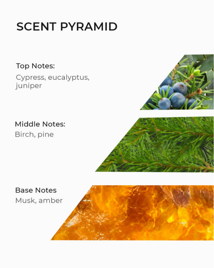  Scent pyramid for soy wax candle, includes cypress, juniper, birch, pine, musk, amber
